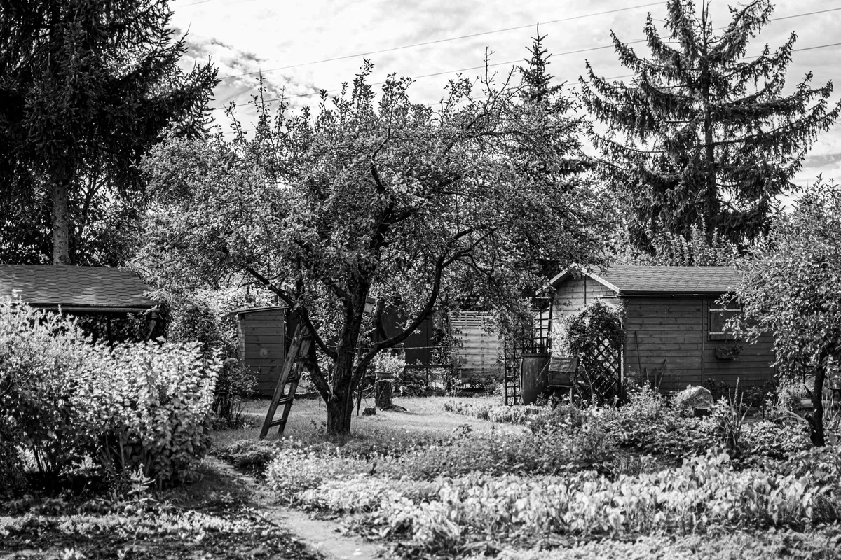 Abri de jardin sans permis : surfaces et règles 2026