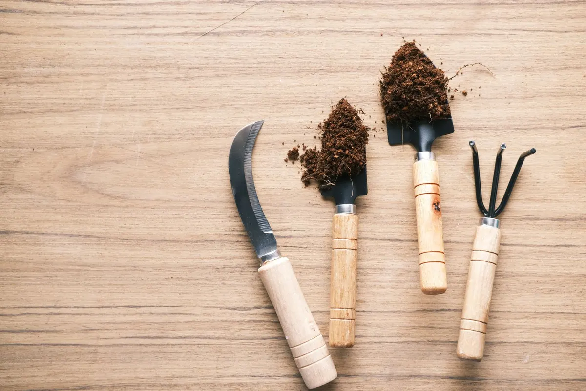 Entretenir son jardin : les bons gestes saison par saison