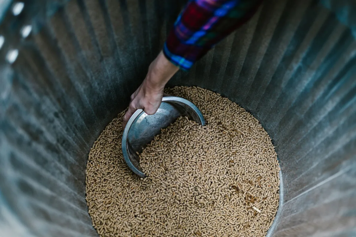 Poêle à granulés : bien choisir et estimer la consommation